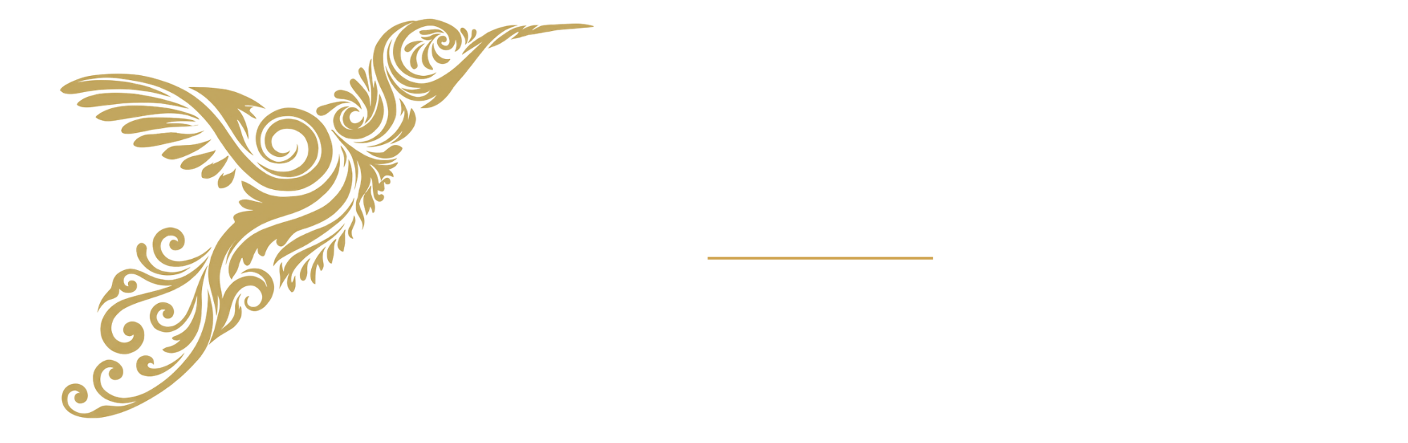 Sugarbird Digital - Digital Growth Consultants